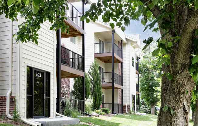 A tree is in front of a white building with a black door.