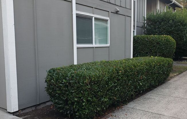 1 Bedroom 1 Bath Condo with 1 Carport Parking Space - East Bremerton