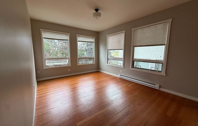 1 bed, 1 bath, 600 sqft, $1,495, Unit 313