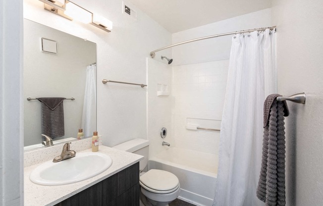 a bathroom with a sink toilet and shower and a mirror