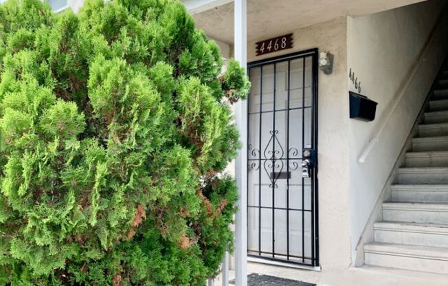 North Park Downstairs One Bedroom Apartment - On-Site Laundry, Centrally Located