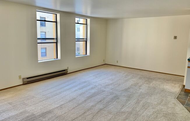 Studio, 1 bath, 460 sqft, $1,295, Unit 305