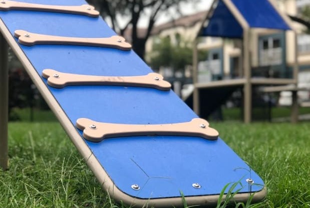 a row of surfboards on the grass in a park