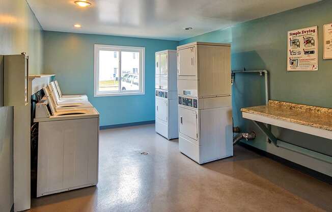 Laundry_Room_Four_Seasons_