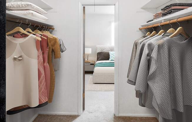 apartment with walk in closet