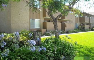 Partner-provided photo for $1675 unit