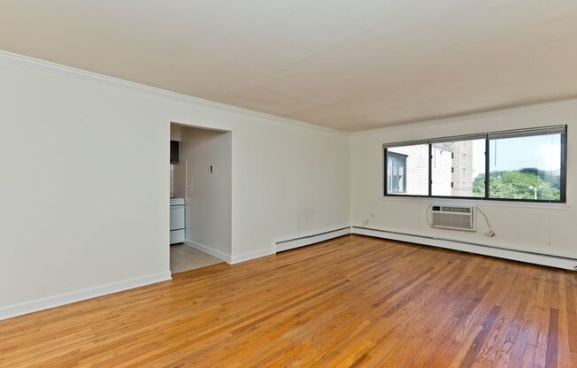 Studio, 1 bath, $1,195, Unit 505