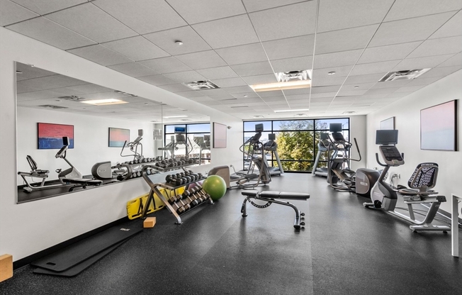 1 bed, 1 bath, 732 sqft, $2,900, Unit 507