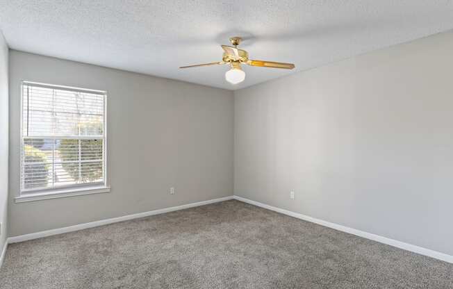 A room with a ceiling fan and carpeted floor.