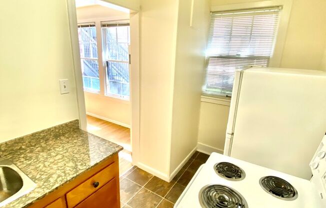 Studio, 1 bath, 365 sqft, $1,295, Unit 303