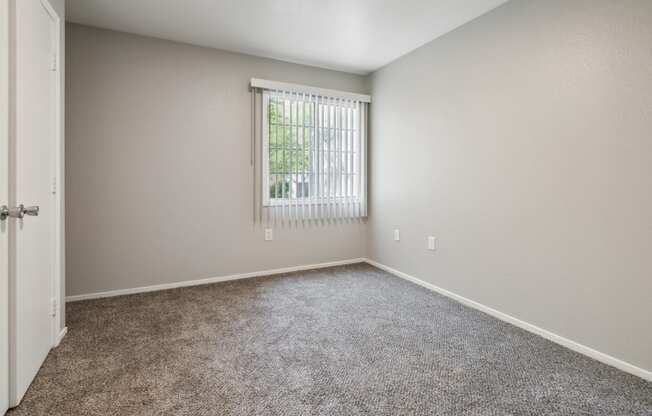 an empty room with carpet and a window