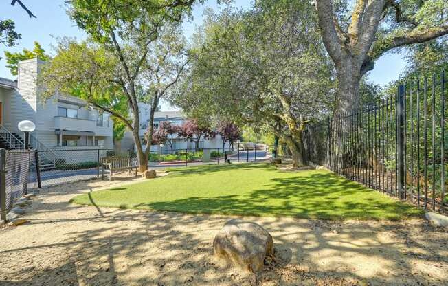 Dog Park On Site  with fenced in area with turf, water drinking fountian for dogs and shaded by large oak tree.