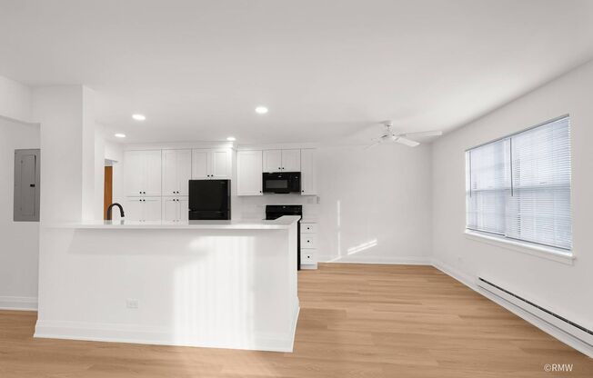 220-248 S. Rush Street