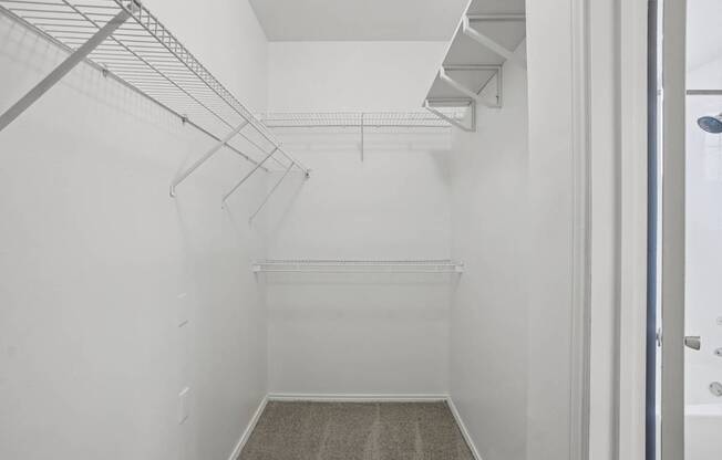 A walk-in closet with white walls and a carpeted floor.