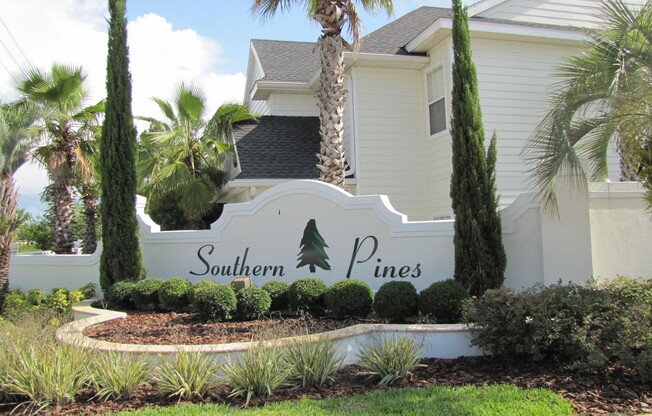 Beautiful 1/1 2nd floor Condo in Winter Garden!  Available November 2024!