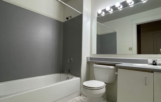 Studio, 1 bath, 464 sqft, $1,150, Unit 119