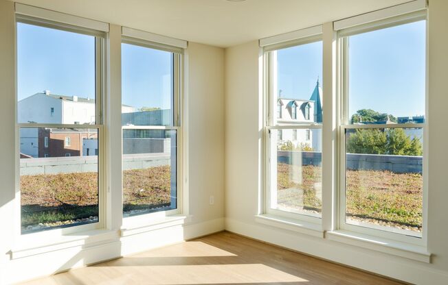 1 bed, 1 bath, $5,000, Unit 505