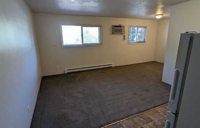 Studio, 1 bath, 350 sqft, $945, Unit 201