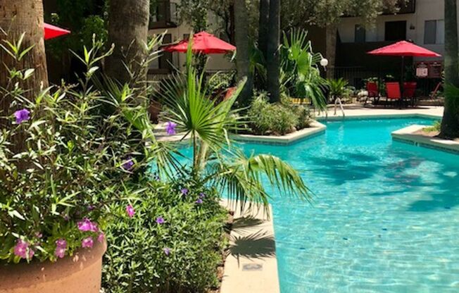 1 bed, 1 bath, 691 sqft, $1,170, Unit 245