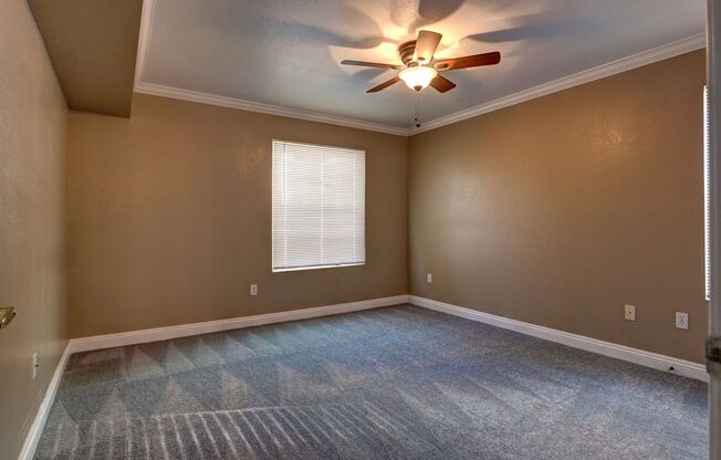 1 bed, 1 bath, $1,195