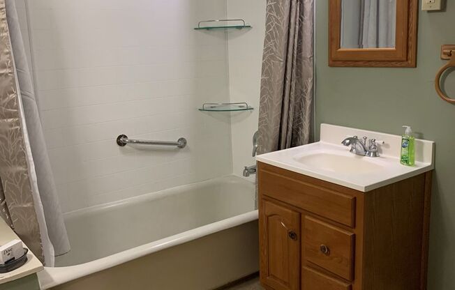 Studio, 1 bath, 371 sqft, $1,198, Unit 106