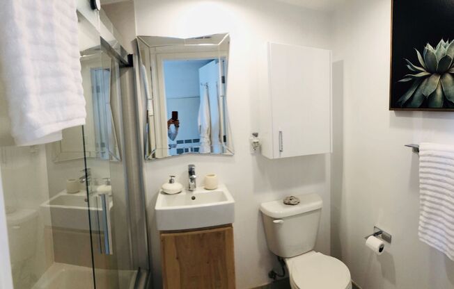 Studio, 1 bath, 489 sqft, $6,000, Unit A105