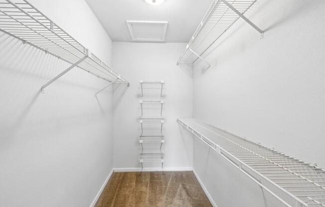 Spacious Closet