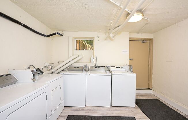 Studio, 1 bath, 334 sqft, $1,250, Unit 407