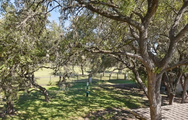 a view of a park with trees and a fence