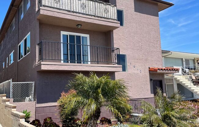 Open and Spacious 2 Bedroom, 1 Bathroom Apartment in San Pedro