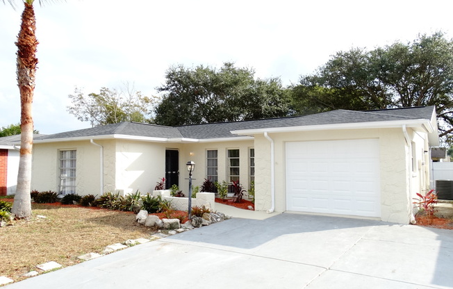 Newly Renovated Spacious 3/2/1 In Port Richey