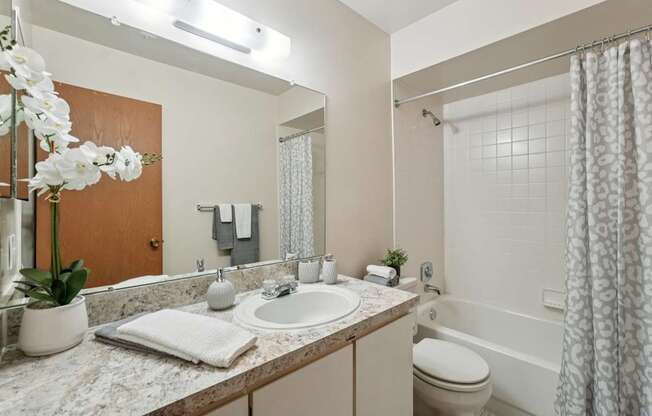 Posh bathroom in 1 bedroom apartment  in Clinton Township