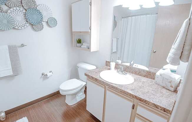 bathroom with lots of storage space