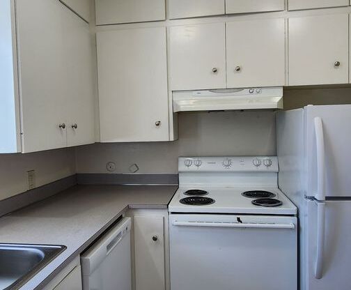 2 beds, 1 bath, $1,245