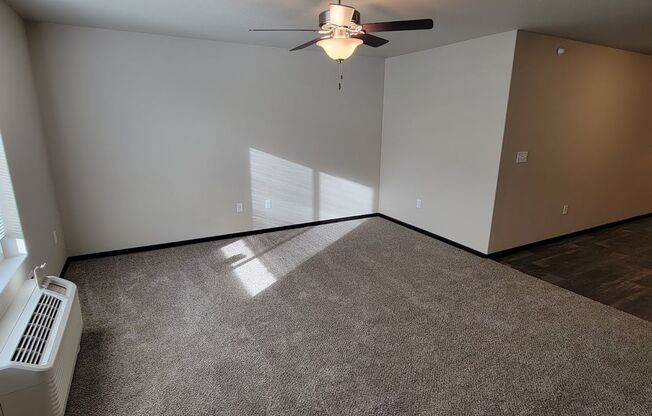 Studio, 1 bath, 545 sqft, $950, Unit 2060-303 Studio