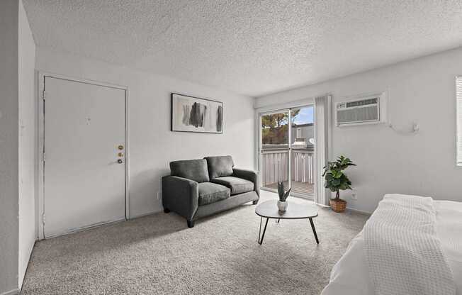 A living room with a grey couch, a white bed, and a small table with a plant on it.