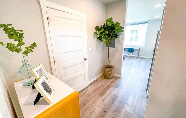 Studio, 1 bath, 320 sqft, $1,295, Unit 403