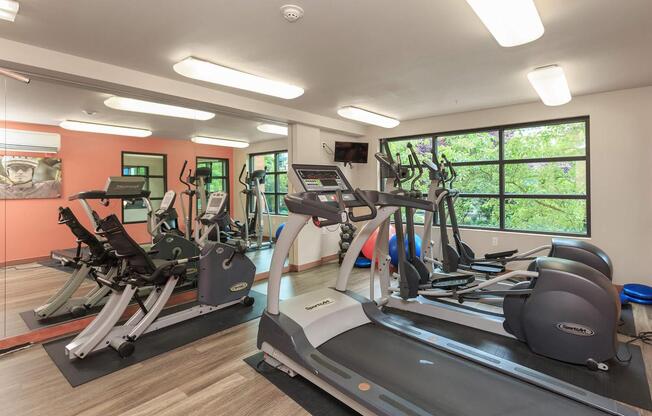 A gym with treadmills, elliptical machines, and other exercise equipment.