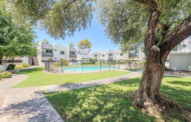 1 bed, 1 bath, $1,195, Unit MV C 8