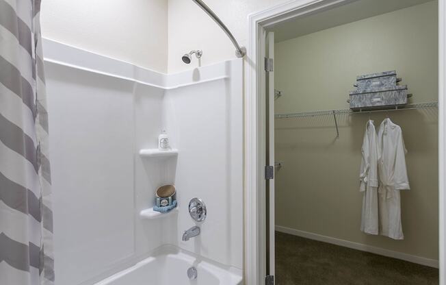 walk in closet space at The View at Horizon Ridge, Nevada, 89012