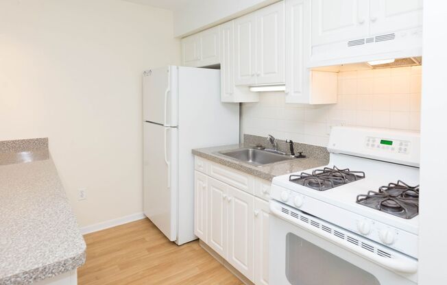 Studio, 1 bath, 518 sqft, $1,595, Unit 502N