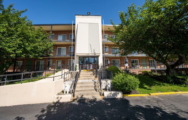 1 bed, 1 bath, 540 sqft, $1,095, Unit 113-024