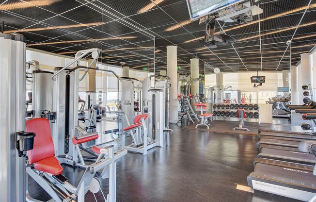 1 bed, 1 bath, $2,650