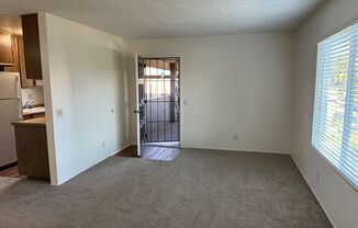 Sea Chase (Acacia Avenue)