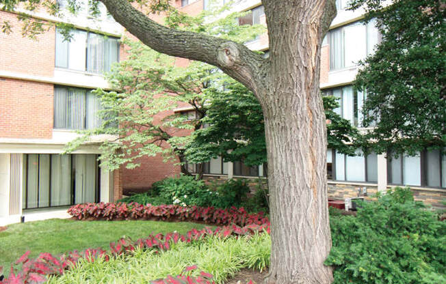 Beautiful Landscaping and Park-like Setting at Calvert House Apartments, Washington, DC, 20008