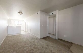 2 beds, 1 bath, $1,250