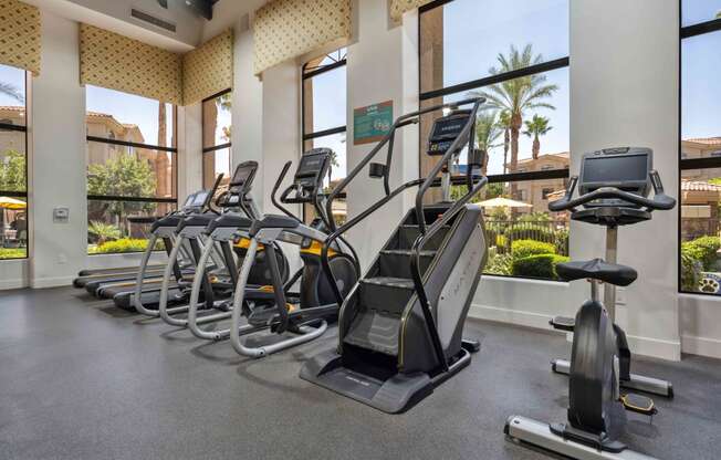rows of cardio equipment in a fitness center with large windows