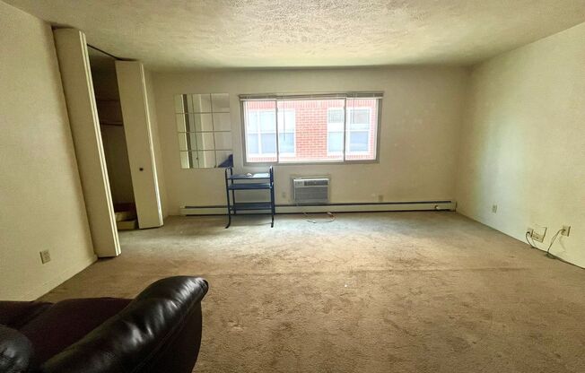 Studio, 1 bath, $750, Unit 317