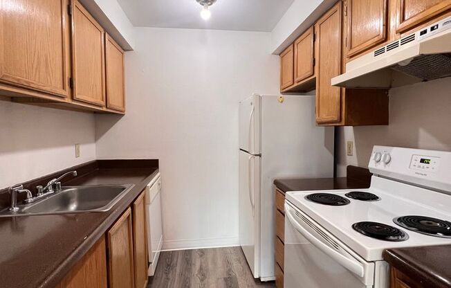 1 bed, 1 bath, 580 sqft, $1,490, Unit 303