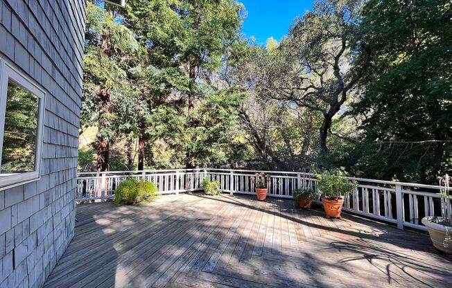 Gorgeous 3 Bedroom 2  Bathroom Home Walking Distance to Downtown Los Gatos!
